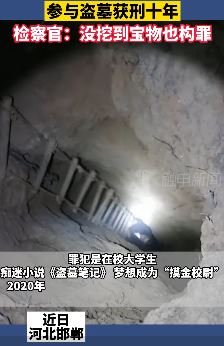 大学生沉迷小说《盗墓笔记》 加入盗墓团伙挖古墓被抓