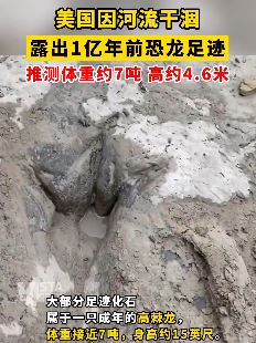 美国一公园发现恐龙足迹 推测体重约7吨高约4.6米