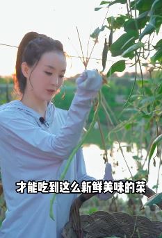 演员王艳分享日常摘菜vlog,享受大自然的美!网友:还珠格格里面最喜欢她!