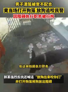 男子酒驾被查放狗追咬民警被行拘