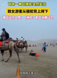 甘肃一景区骆驼突然失控致女游客从背上摔下