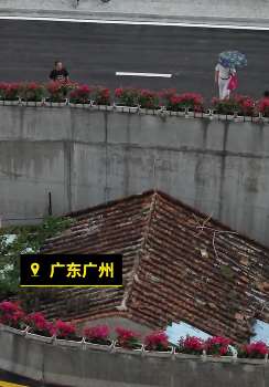 广州被网友戏称“海珠之眼”桥中民房成网红打卡地