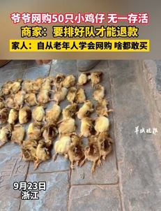 老人网购50只小鸡仔到货全部死亡