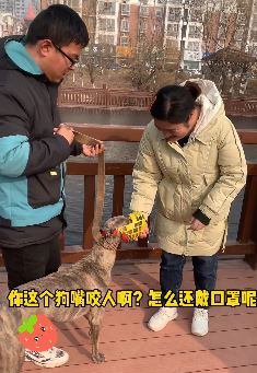 大碗搞笑相亲：男子带狗相亲差点被气晕！