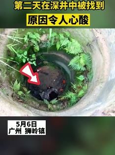 阿婆与家人吵架后外出拜祭亡夫不慎落井