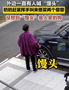 男子街头不停喊馒头（狗名） 老人挥手想买两尝尝