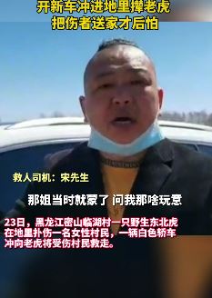 司机回忆解救"被东北虎扑倒女子"经过