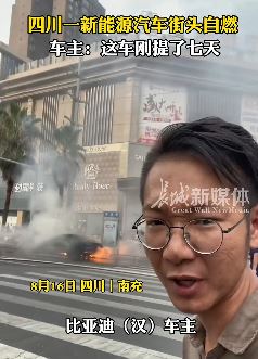 四川南充一新能源车街头自燃 车主：刚提7天