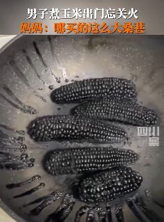 男子出门忘关火，锅中玉米变桑葚