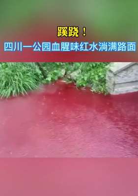 四川德阳一公园水现红色还带着血腥味