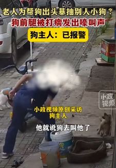 浙江宁波一老人为帮狗出头把别人小狗腿打瘸