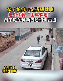 女子路上遇狗害怕爬上车躲避