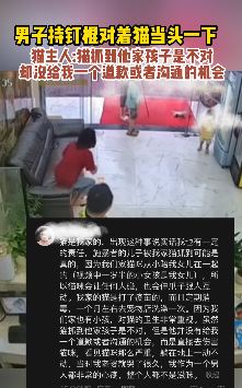 儿子被猫挠伤 男子持带钉棍子打猫头