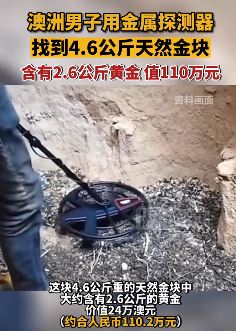 男子用廉价探测器淘到9斤金块 价值110万元