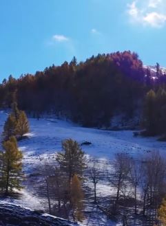 新疆阿勒泰绝美秋景欣赏 白雪成调色剂让秋色更美