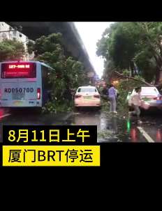 台风“米克拉”袭击厦门 马路两旁树木被刮倒交通被堵
