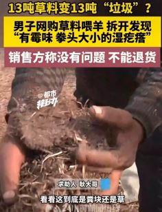 男子网购13吨草料喂羊 拆开发现发霉商家拒退货