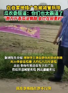 沈阳一瓜农曝在自家地里插广告被城管拆除 数万斤香瓜愁销路