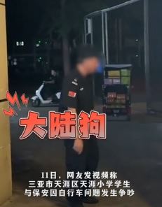 三亚一小学保安持棍追打学生 路人劝阻反被辱骂