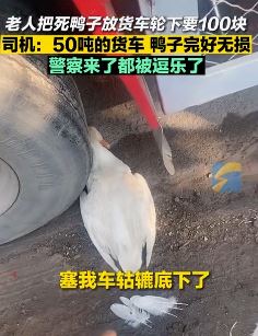 辽宁葫芦岛一老人将死鸭子塞车轮下要讹司机100元