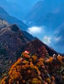 分享秦岭山巅冬日雪后美景 仿佛戴了一顶雪白的礼帽