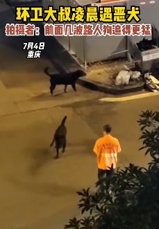 重庆一环卫大叔凌晨遇恶犬狂叫淡定与其交流