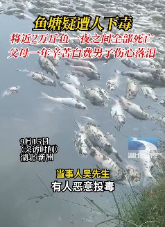 鱼塘疑遭人下毒，一夜间2万斤鱼全都死亡