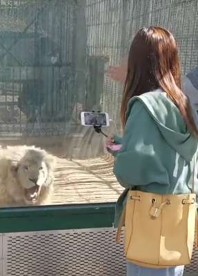 郑州动物园恢复营业 开门首日游客稀少