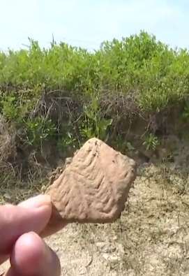 江苏一村民在地里捡到2石块 专家:新石器晚期文物