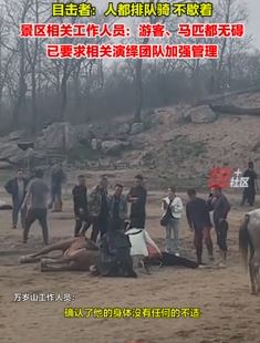 开封万岁山景区一游客体验骑马时跌落