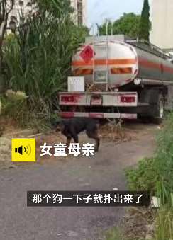 南昌一女童被烈犬咬伤花费数万元 家属将起诉狗主人