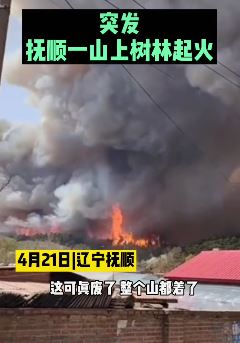 辽宁抚顺一村民烧田引发山火