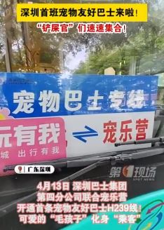 深圳开通首条宠物友好巴士H239线