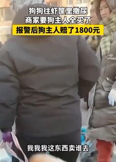 狗狗往虾筐里撒尿遭摊主索赔