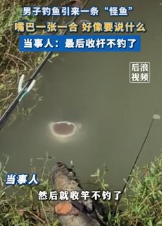 男子深夜钓鱼发现一条怪鱼 嘴巴一张一合像在说些什么