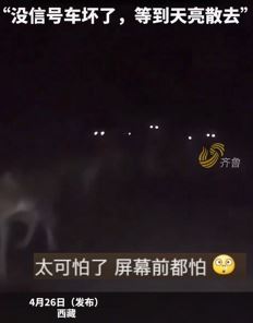 男子自驾西藏夜穿无人区遇狼群很渗人
