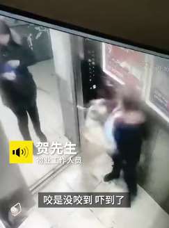 太吓人！电梯门一开半米高宠物狗扑向6旬老太，狗主人急时拽回没被咬伤！