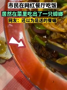 南昌一在网红餐厅菜品中吃出蟑螂