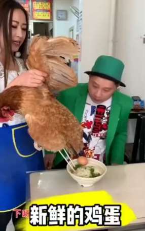 搞笑吃面：客人想要个新鲜鸡蛋 服务员拿了个鸡现场下蛋！