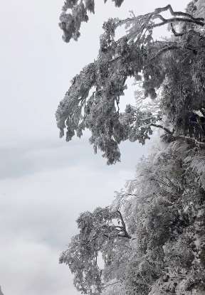 好美的冬季景色，宛如人间仙境一般，你知道这是哪里吗?