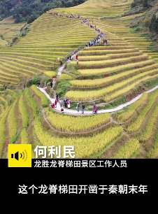 桂林龙脊梯田金秋美景走红，不少游客前来观赏