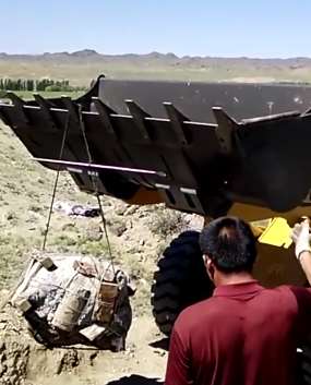 我国发现迄今最早远古森林 距今约3.71亿年