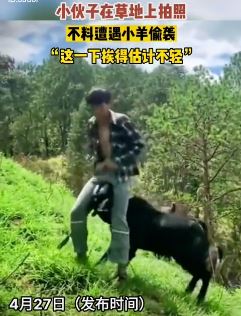 萌宠搞笑：小伙草地上拍照遭小羊偷袭