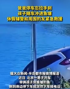 男子停车忘拉手刹孩子随车冲进鱼塘