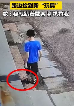 监拍：小男孩路上捡到一"玩具"，拿手里一看是条蛇！