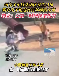 2女子小区发生口角 一女子抡自行车砸倒女童