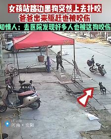 河南安阳一小女孩路边被狗扑咬 爸爸过来驱赶也被咬伤