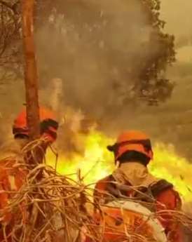 香格里拉发生森林火灾 300余消防指战员火速增援