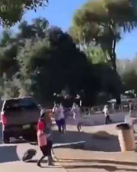 美国加州发生枪击事件，3人死亡11人受伤