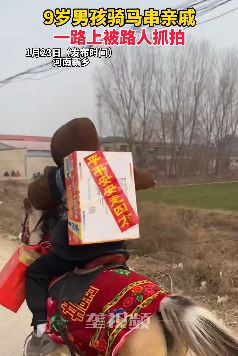 河南新乡一9岁男孩骑马串亲戚被路人拍下